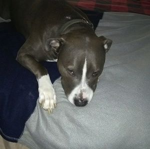 Meet your Posher, Yvette